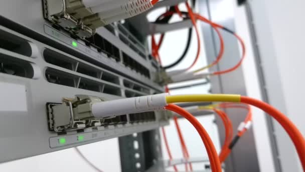 Fiber Optic Korskopplingskabel Ansluten Till Nätverks Switch Eller Router Med — Stockvideo
