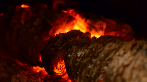 看到一个壁炉与燃烧的刻录日志特写 — 图库视频影像