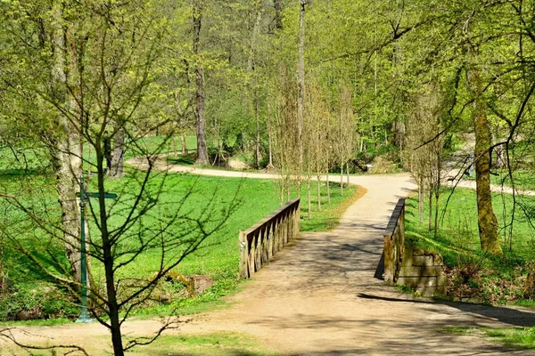 Parque verde — Fotografia de Stock