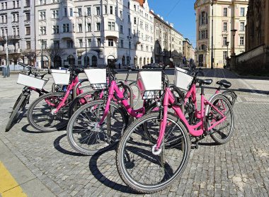 Prag şehrinin merkezindeki direkte kilitli pembe bisikletleri paylaşan bir bisiklet. Yeni modern ekolojik ve hızlı şehir ulaşımı. 