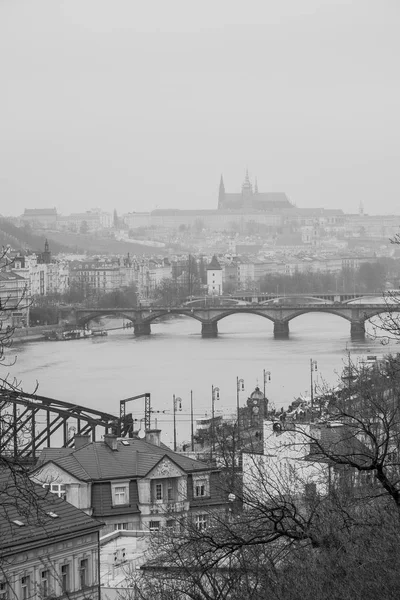 View Prague Castle — Stock Photo, Image