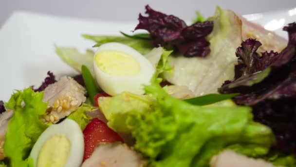 Thunfischsalat im Gericht — Stockvideo