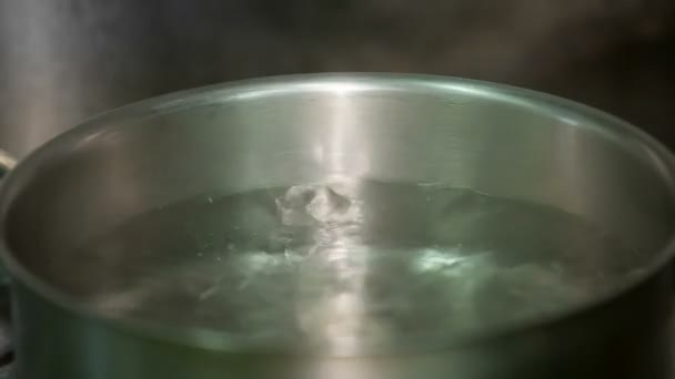 Сковороду с кипящей водой — стоковое видео
