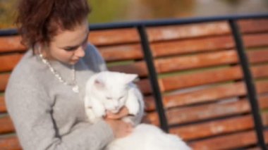 Maine Coon kedi ile genç bayan