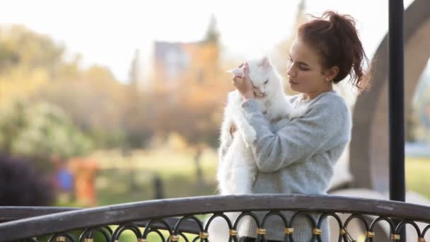Молодая леди с котом из Мэна Куна — стоковое видео