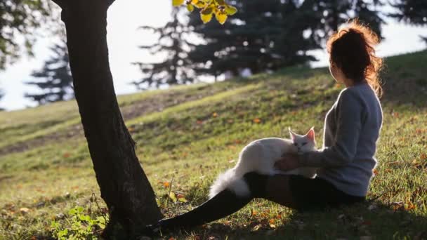 Jovem senhora com Maine Coon gato — Vídeo de Stock