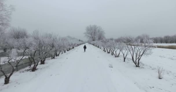 Parque de inverno tiro aéreo homem andando — Vídeo de Stock