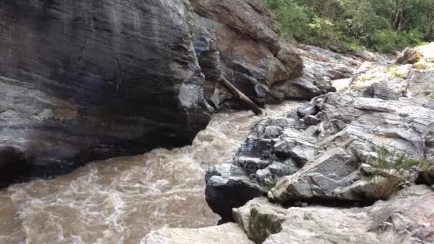 Sungai penuh mengalir di taman ThaiIand — Stok Video