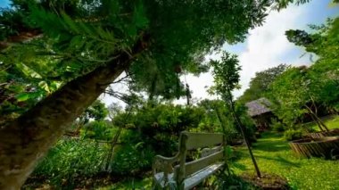 Tayland tropikal resort timelapse 2.7 k