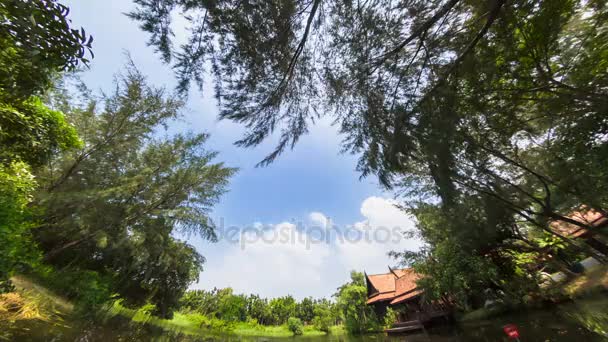 Parco nazionale di cucitura a Bangkok — Video Stock