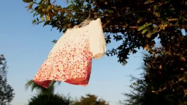 Küçük bebek elbisesi ağaçta asılı.