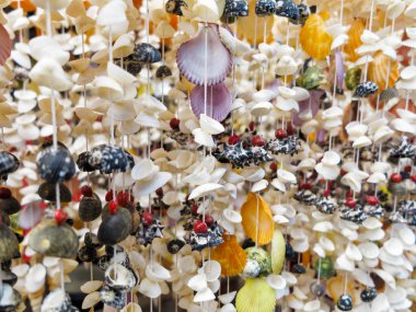 İpleri tarafından kabukları dayan