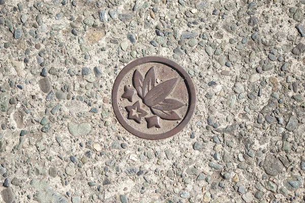 Lotus congrete yerdeki metal pin