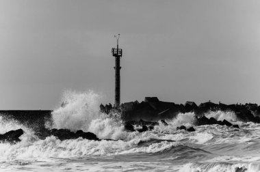 Dutch Coast kırma Kuzey Denizi dalgalar