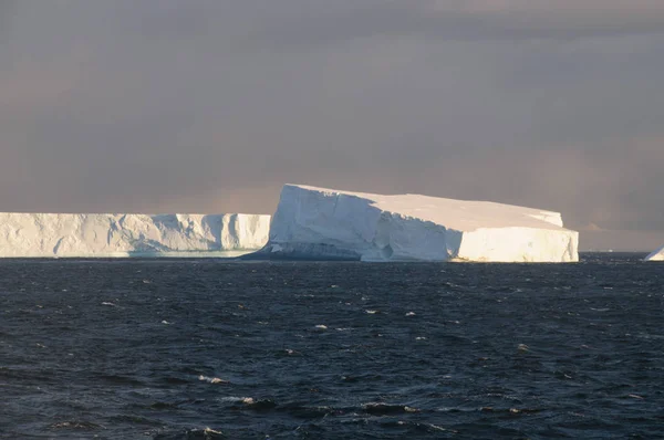 Icebergs dans la lumière du soir — Photo