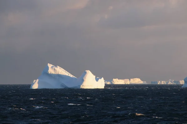 Icebergs na luz da noite — Fotografia de Stock