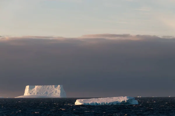 Icebergs у вечірньому світлі — стокове фото