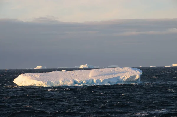 Icebergs у вечірньому світлі — стокове фото