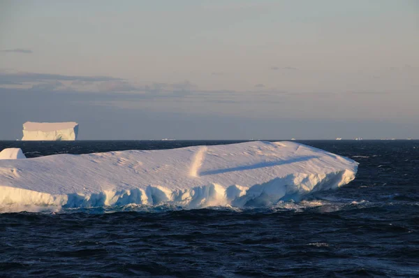 Icebergs у вечірньому світлі — стокове фото