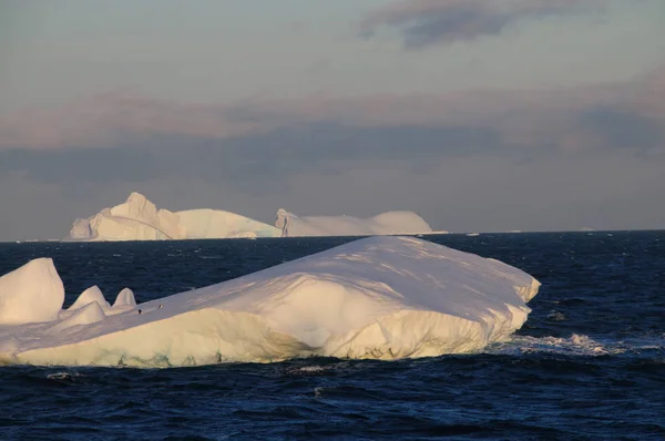 Icebergs dans la lumière du soir — Photo