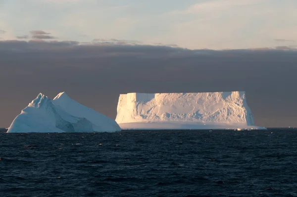 Icebergs у вечірньому світлі — стокове фото