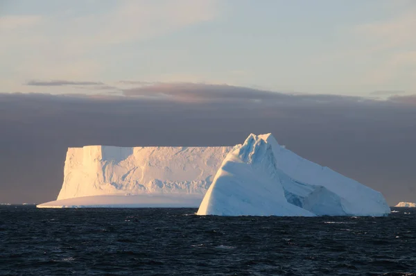 Icebergs dans la lumière du soir — Photo