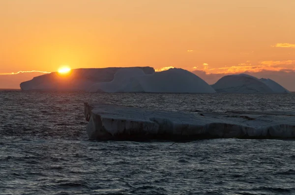 Icebergs na luz da noite — Fotografia de Stock