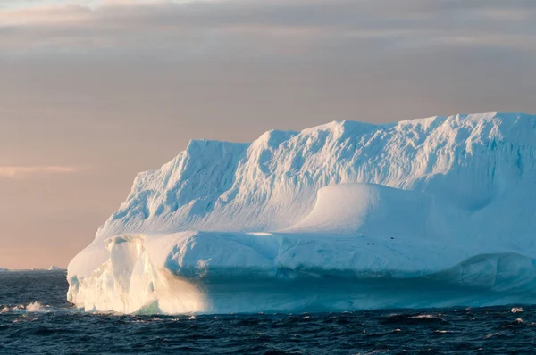 Icebergs у вечірньому світлі — стокове фото