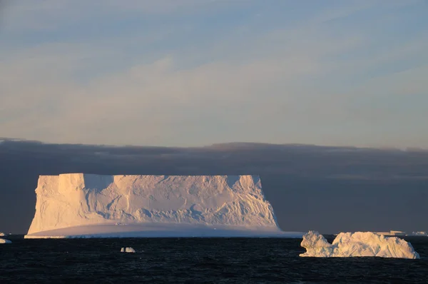 Icebergs у вечірньому світлі — стокове фото