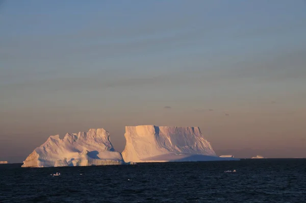 Icebergs in the evening light — Stock Photo, Image