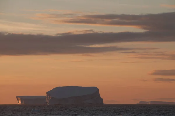 Icebergs dans la lumière du soir — Photo