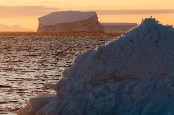 Icebergs na luz da noite — Fotografia de Stock