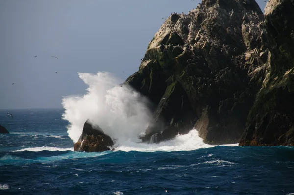 シャグ岩 — ストック写真