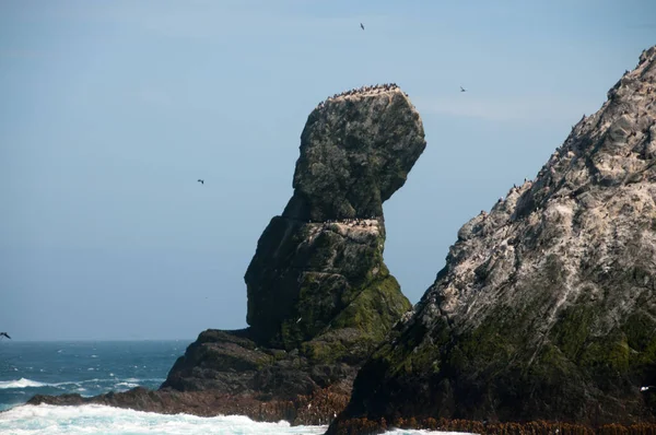 シャグ岩 — ストック写真