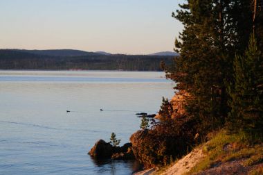 Batı başparmak Sunrise