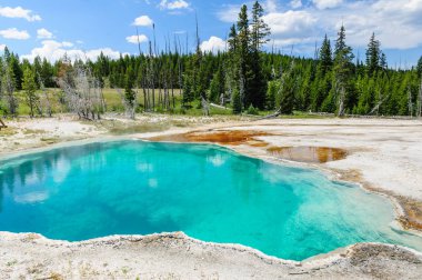 Batı başparmak, açık göl