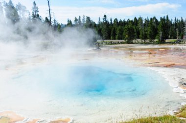 Yellowstone'da yasaktır Şofben