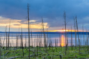 yellowstone Gölü üzerinden günbatımı