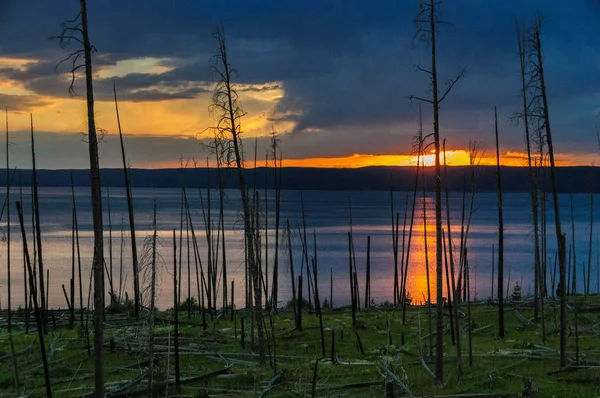 Sunset Over Lake Yellowstone — Stock Photo, Image