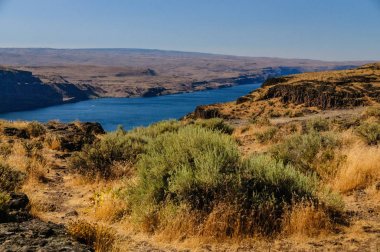 Columia Nehri, Washinton devlet