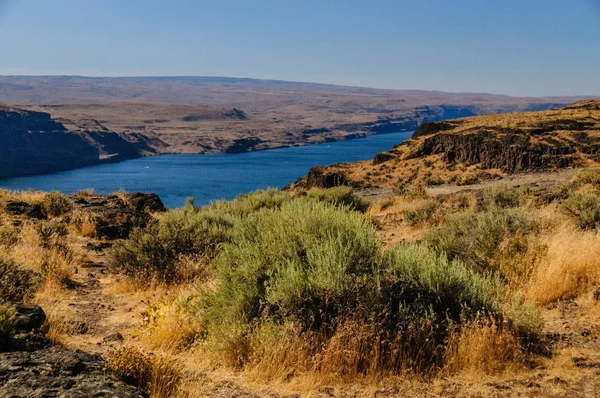 Columia Nehri, Washinton devlet