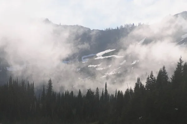 Monte Rainier envolto em nuvens — Fotografia de Stock