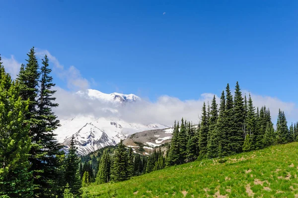 Die Hänge des Mount Raineer — Stockfoto