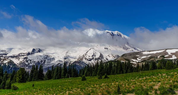 De hellingen van Mount Raineer — Stockfoto