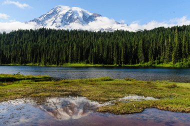 Rainier Dağı bir gölde yansıyan