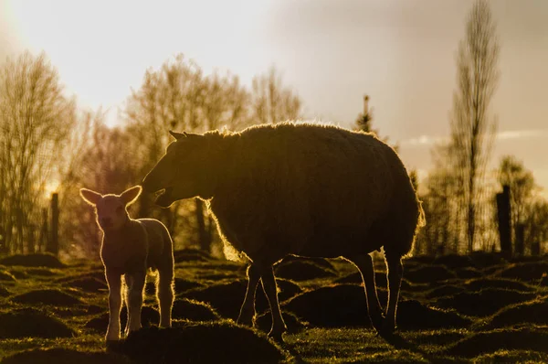 Jeunesse La vie au printemps — Photo