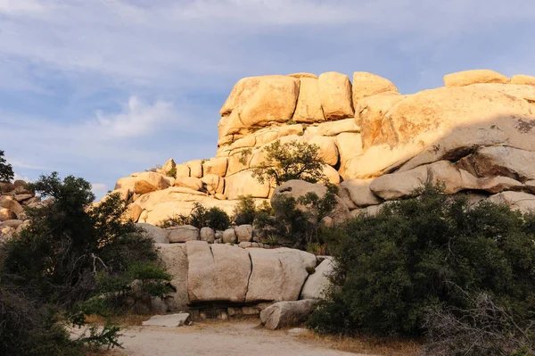 Joshua Tree National Park akşam ışık