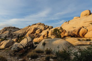 Joshua Tree Barker Barajı alan Sunset yakınında