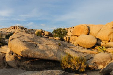 Joshua Tree Barker Barajı alan Sunset yakınında