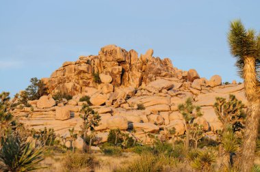 Joshua Tree Barker Barajı alan Sunset yakınında